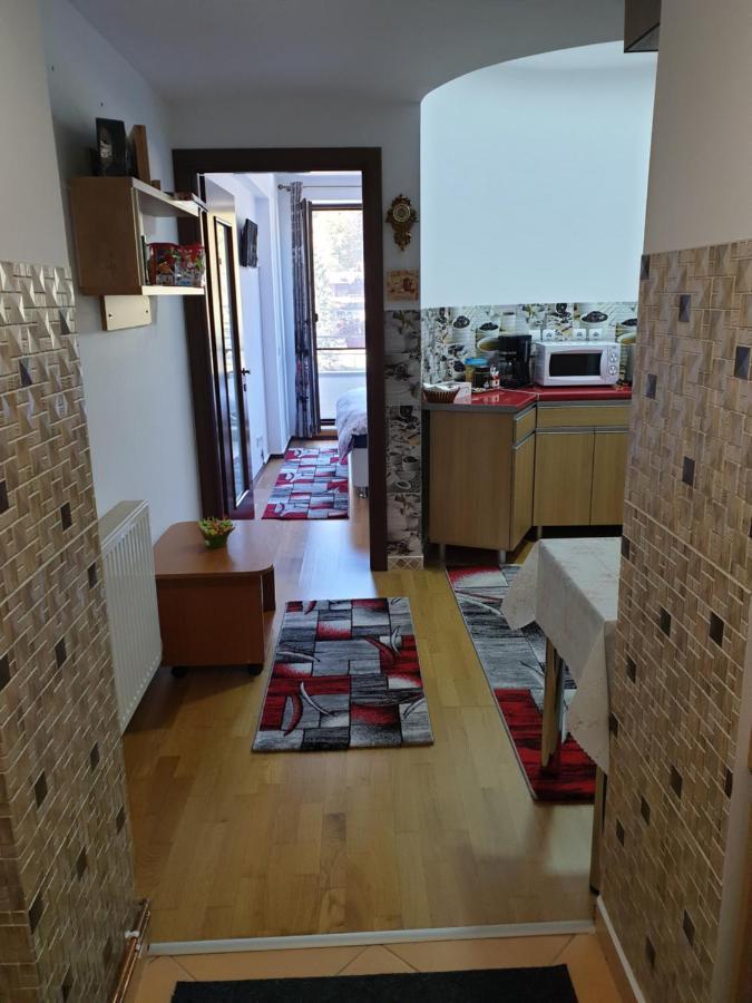 Sophie Apartament Lejlighed Sinaia Eksteriør billede
