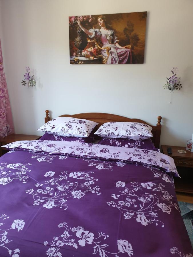 Sophie Apartament Lejlighed Sinaia Eksteriør billede