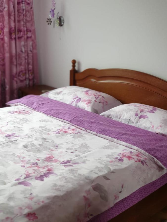 Sophie Apartament Lejlighed Sinaia Eksteriør billede