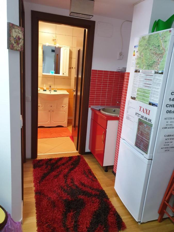 Sophie Apartament Lejlighed Sinaia Eksteriør billede
