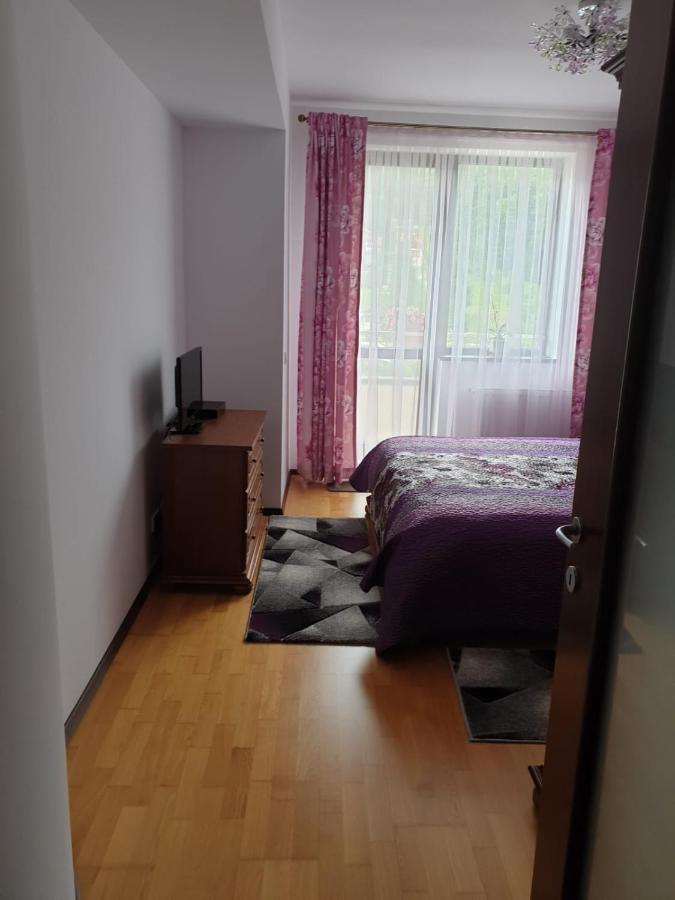 Sophie Apartament Lejlighed Sinaia Eksteriør billede