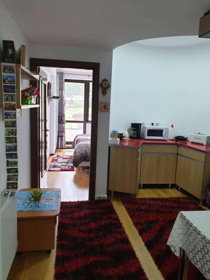 Sophie Apartament Lejlighed Sinaia Eksteriør billede