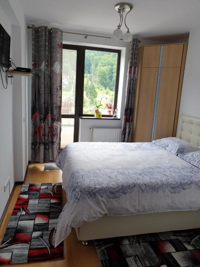 Sophie Apartament Lejlighed Sinaia Eksteriør billede